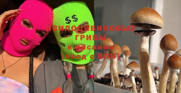 соль курить ск Алексин