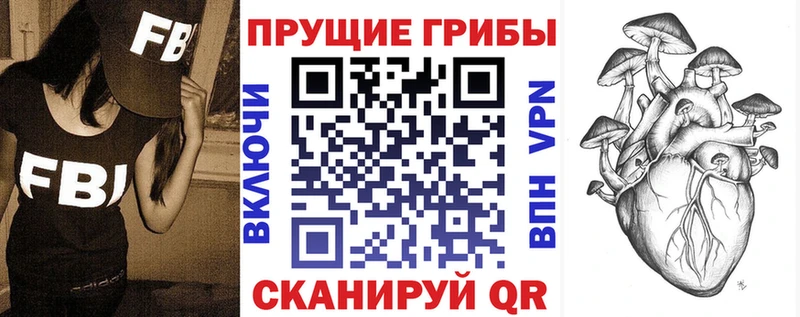 Галлюциногенные грибы мицелий  Купить где  Новоржев 