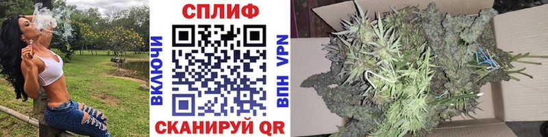 Купить где  Новоржев  Канабис THC 21% 